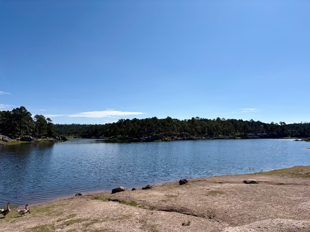 Lago Arareko